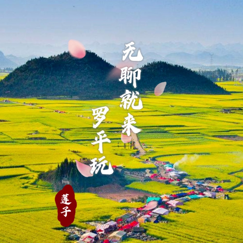 无聊就来罗平玩 (伴奏)