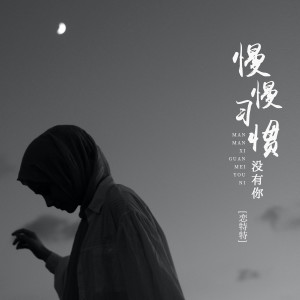 收聽戀特特的慢慢習慣沒有你歌詞歌曲