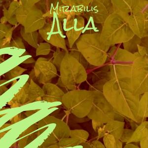 Listen to Mirabilis Alla song with lyrics from Cman Tete