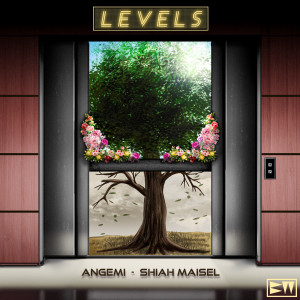 Album Levels from Angemi