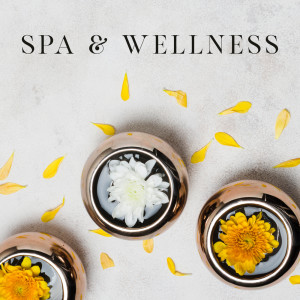 Album Spa & Wellness - Center of Healing Music, Majestic Spa, Wellness Package oleh Spa Music Paradise