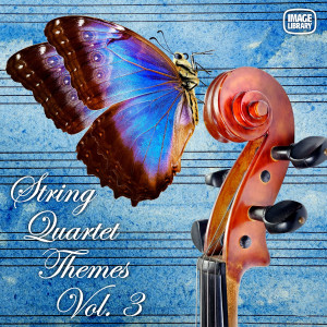 Album String Quartet Themes, Vol. 3 from Robyn Payne