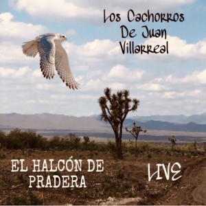 ดาวน์โหลดและฟังเพลง El Halcón de Pradera (Live) พร้อมเนื้อเพลงจาก Los Cachorros de Juan Villarreal