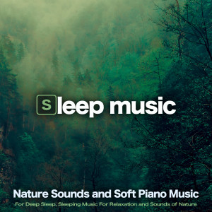 ดาวน์โหลดและฟังเพลง Sleeping Piano Music For Relaxation พร้อมเนื้อเพลงจาก Sleeping Music