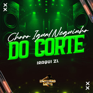 Listen to Choro Igual Neguinho do Corte (Explicit) song with lyrics from Iraqui Zl