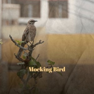 Mocking Bird dari Various Artist