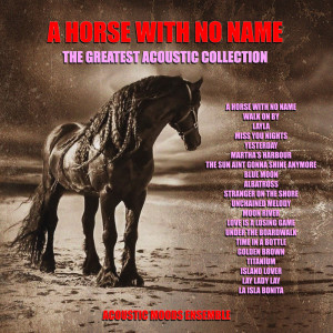 Listen to Lay Lady Lay song with lyrics from Acoustic Moods Ensemble