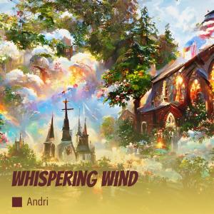 อัลบัม Whispering Wind ศิลปิน Andri
