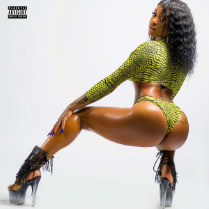 ดาวน์โหลดและฟังเพลง Run It (Explicit) พร้อมเนื้อเพลงจาก Quiana Ree