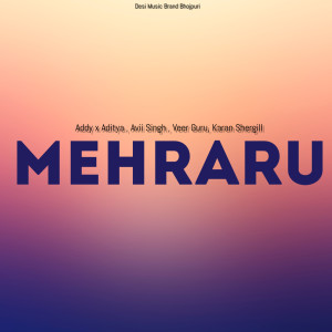 Listen to Mehraru song with lyrics from Addy x Aditya