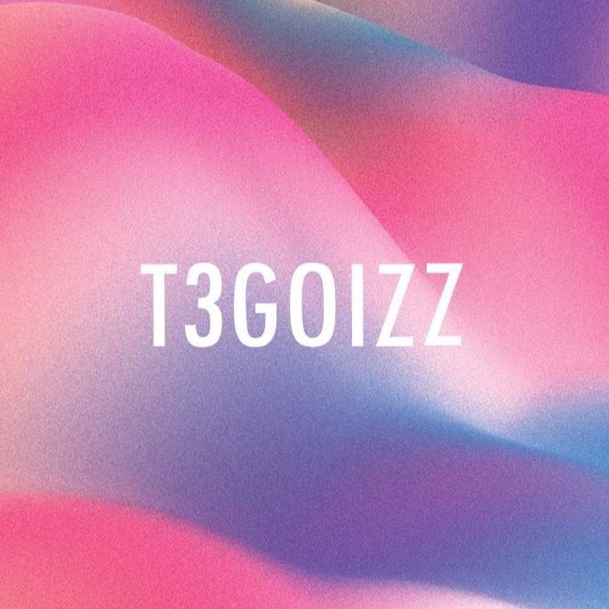 T3GOIZZ