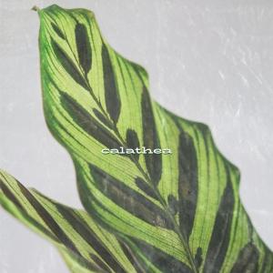 收聽Ruth de las Plantas的Calathea歌詞歌曲