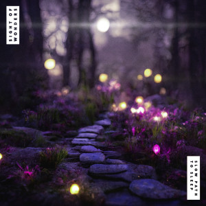 Album Slow Path to Sleep from Sight of Wonders