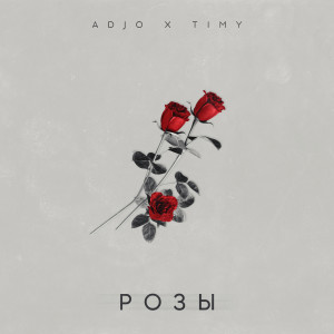 Listen to Розы song with lyrics from ADJO