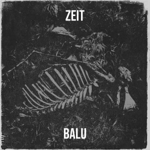 Balu的专辑Zeit