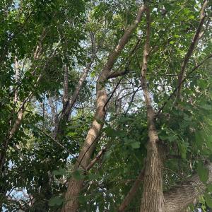 ดาวน์โหลดและฟังเพลง Heal My Soul. (Explicit) พร้อมเนื้อเพลงจาก Soyuz.