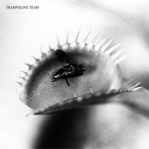 ดาวน์โหลดและฟังเพลง So Cool พร้อมเนื้อเพลงจาก Trampoline Team
