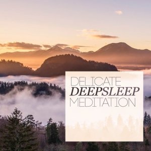 อัลบัม Delicate Deep Sleep Meditation ศิลปิน Deep Sleep Meditation