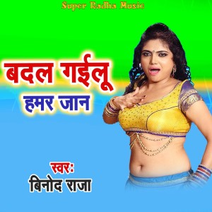 Listen to Badal Gailu Hamar Jan song with lyrics from Binod Raja