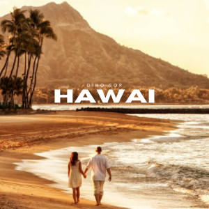 Album Hawai from Dino Sor
