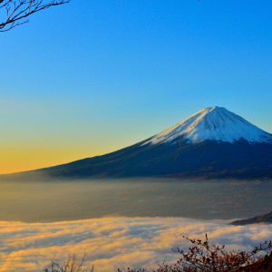 Listen to Healing Guru song with lyrics from Sounds of Nature Relaxation