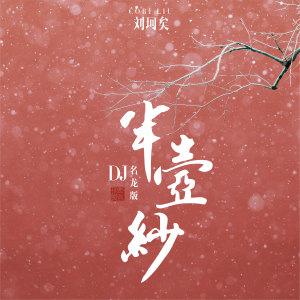 半壶纱(DJ版) dari 刘珂矣