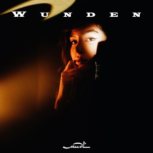 Listen to Wunden song with lyrics from Mudi