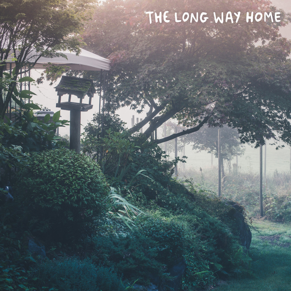 the long way home (Explicit)