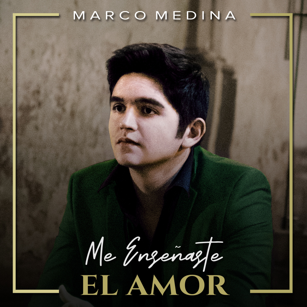 Me Enseñaste el Amor