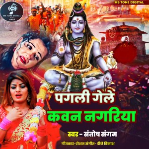 Santosh Sangam的专辑Pagali Gele Kawan Nagariya