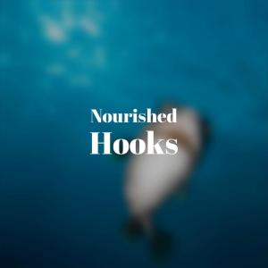 Album Nourished Hooks from Various