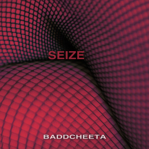 Listen to Seize song with lyrics from Baddcheeta