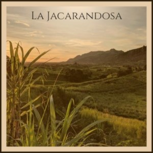 Listen to Martinete song with lyrics from Antonio Mairena