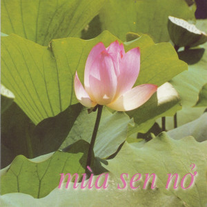 收聽Đoàn Yến Linh的Nửa khuya(Ngâm thơ)歌詞歌曲