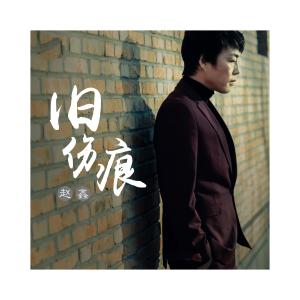Listen to Jiu Shang Hen song with lyrics from 赵鑫