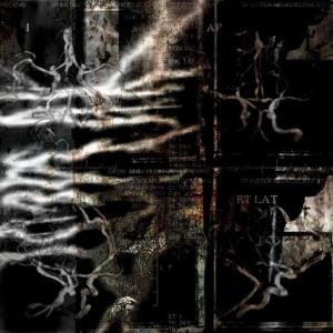 收聽Killviety的safe (feat. heyvelli) (Explicit)歌詞歌曲