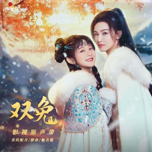Listen to 双兔 (伴奏) song with lyrics from 音药配方