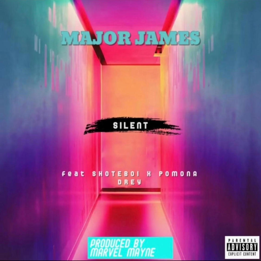 silent (feat. shote boi beatz, pomona drey & marvel Mayne) (Explicit)