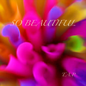 Listen to So Beautiful song with lyrics from T.A.P.