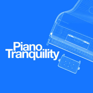 Calming Piano Music的專輯Piano Tranquility