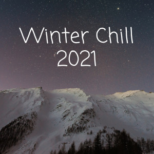 Various Artists的專輯Winter Chill 2021 (Explicit)