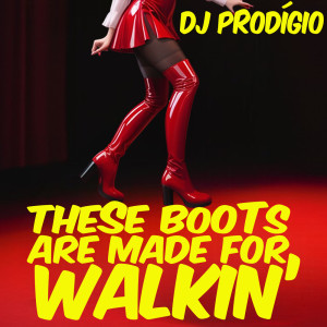 Album These Boots Are Made For Walkin' from DJ Prodigio
