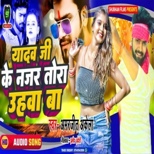 Amarjeet Akela的专辑Yadav Ji Ke Nazar Tora Uhva Ba