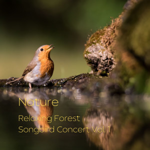 Nature: Relaxing Forest Songbird Concert Vol. 1