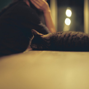 收聽秦基博的ひまわりの約束歌詞歌曲