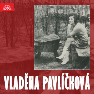 Listen to Blowing in the Wind - This Land Is Your Land song with lyrics from Sonja Salvis