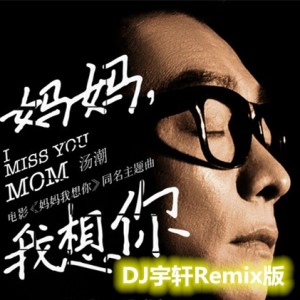 Listen to 妈妈我想你 (DJ宇轩Remix蓝调版) song with lyrics from 汤潮