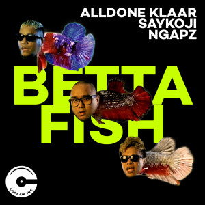 Betta Fish dari ALLDONE KLAAR