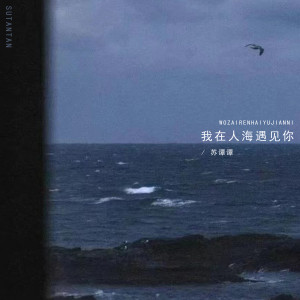 Album 我在人海遇见你 (烟嗓女版) from 苏谭谭