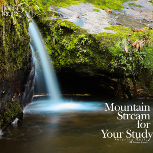 ดาวน์โหลดและฟังเพลง Rippling Water Fall พร้อมเนื้อเพลงจาก 힐링 네이쳐 Nature Sound Band